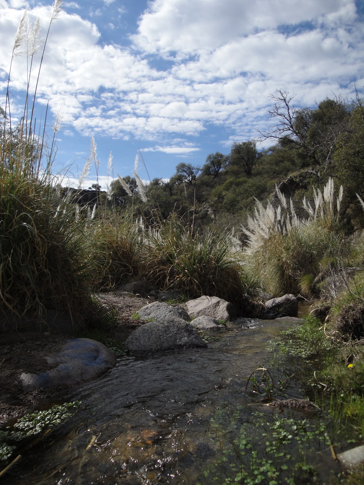 Vida y Deporte al 100 Potrero encanta!