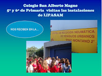 Actividad formativa de Primaria