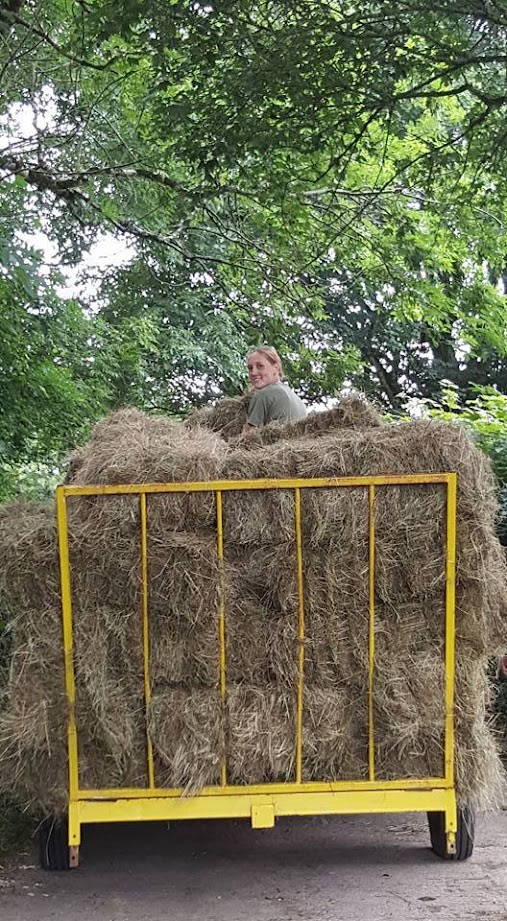 Bringing in the hay