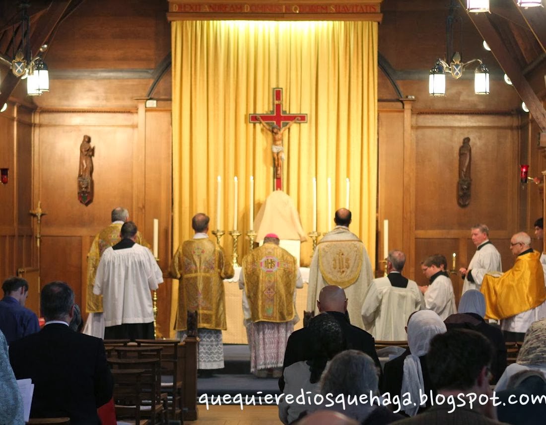 Eucaristia - SANTA MISA DE HOY DOMINGO 23 DE FEBRERO - Sétimo domingo del tiempo ordinario