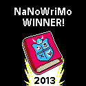 NaNoWriMo!