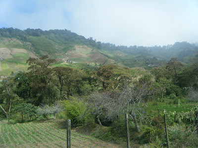 Cerro Punta and Guadalupe