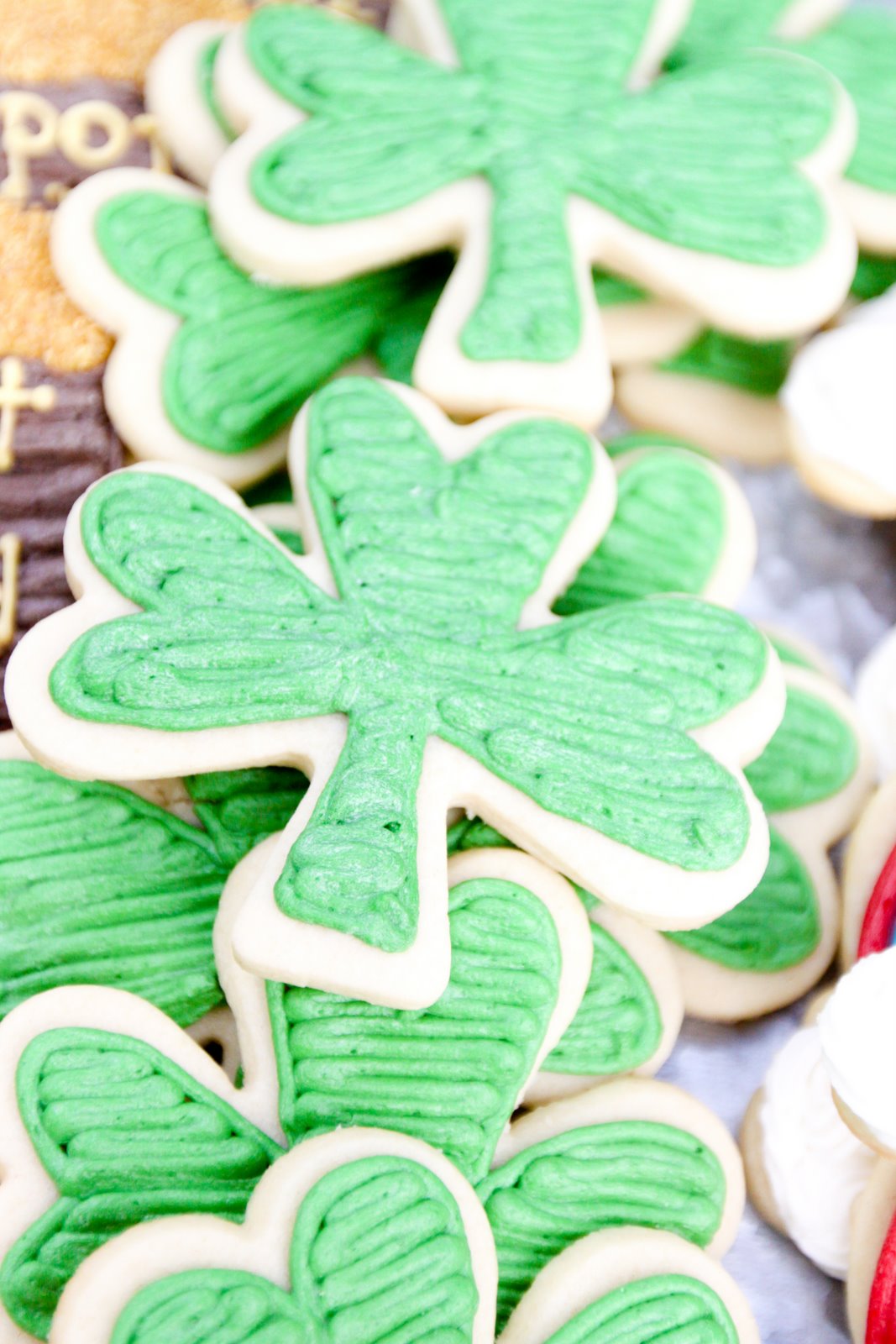 St. Paddy’s Day Party in the Park