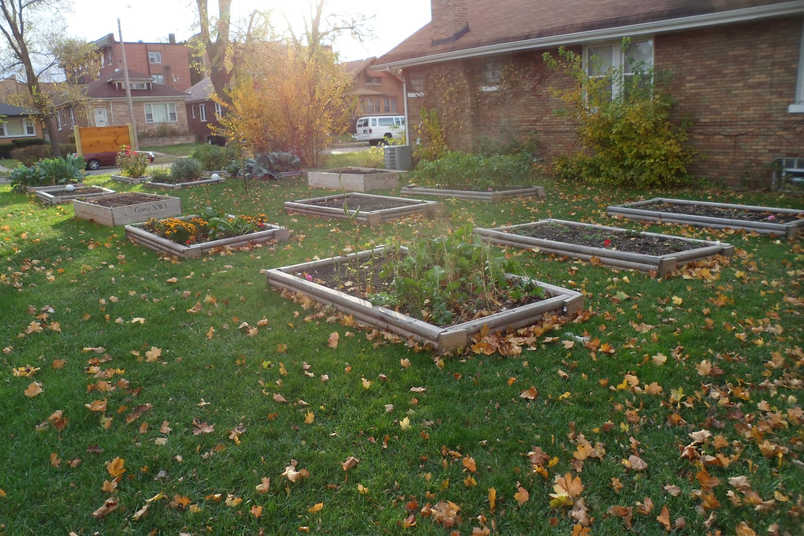 The Perennial Agriculturalist iuncg asparagus bed
