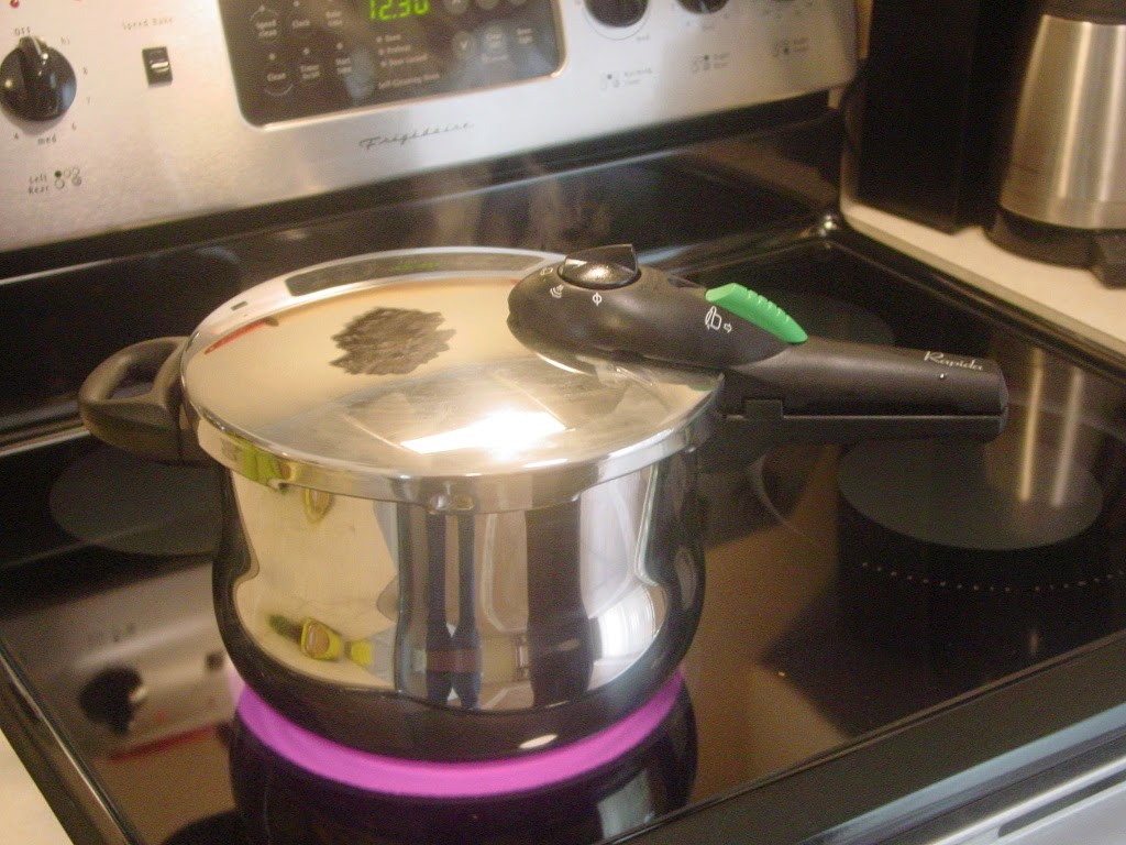 Just the Right Size How To Use a Pressure Cooker Beef Stew
