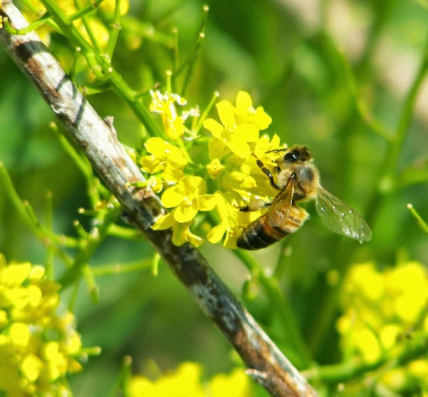 The Small Hold Will Not Go Down Without a Fight As Baltimore Burns