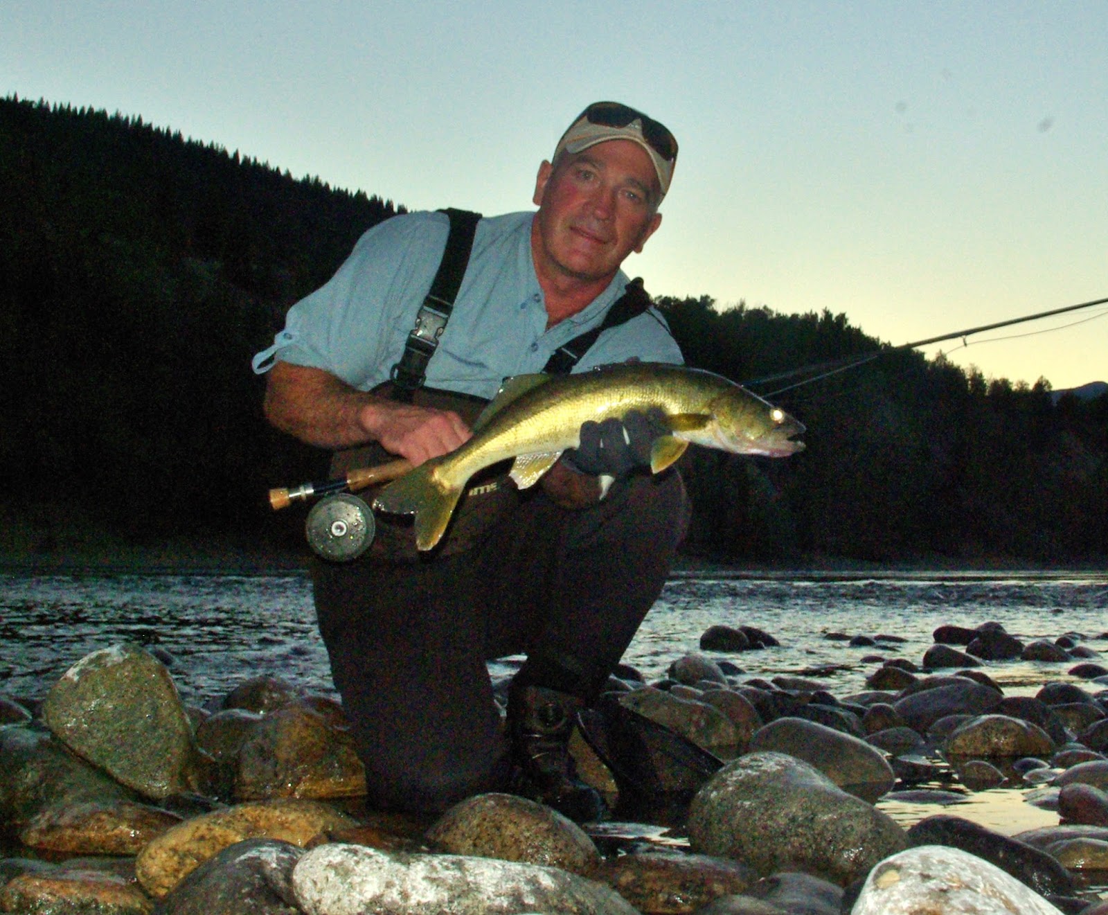 FlyFishBC Columbia River walleye on the fly