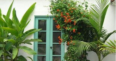 Fotos y Diseños de Puertas: Puertas de entrada top confort