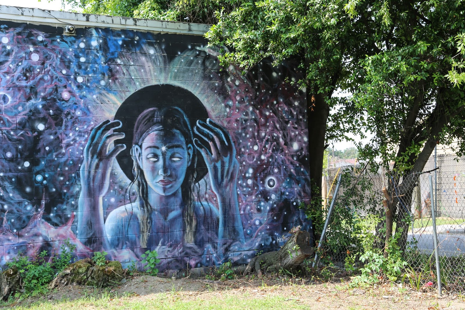 Charleston Daily Photo Murals at Huger & Hanover St.