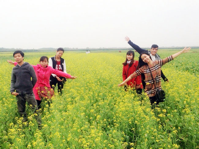 [Image: Mua-hoa-no-ro-tren-canh-dong-cai-vang-de...-Nam-5.jpg]