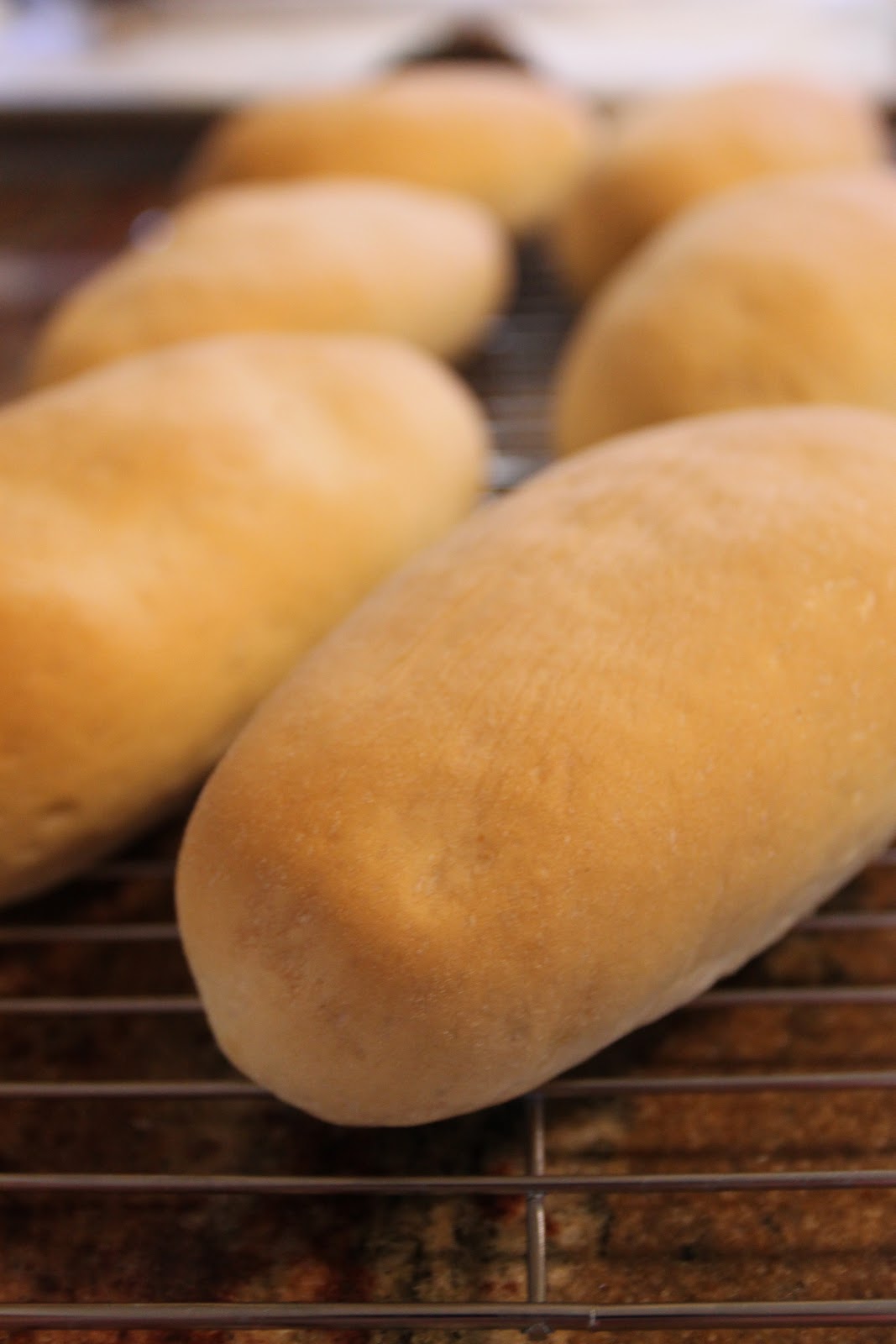 Bossy Italian Wife I Made Homemade Submarine Rolls!!!!