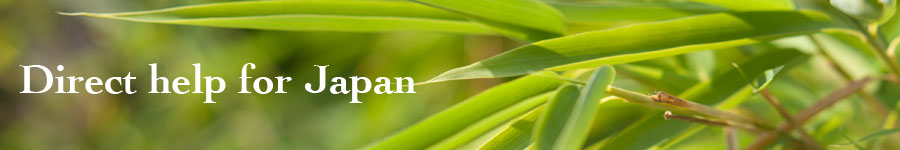 Direct help for Japan