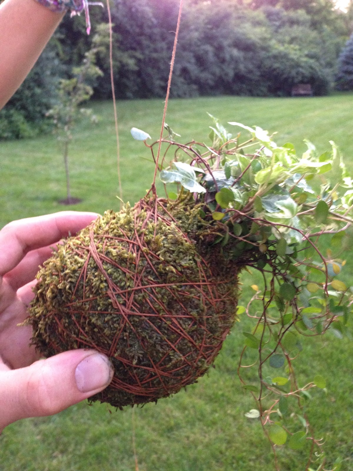 Home Inspirations Japanese Kokedama (Moss Ball