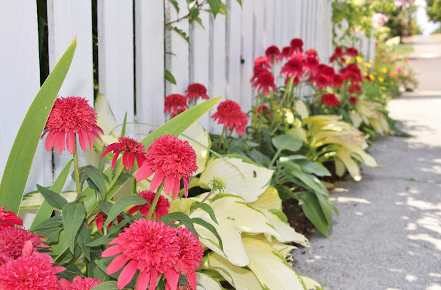 Fishtail Cottage Garden 7 13 15