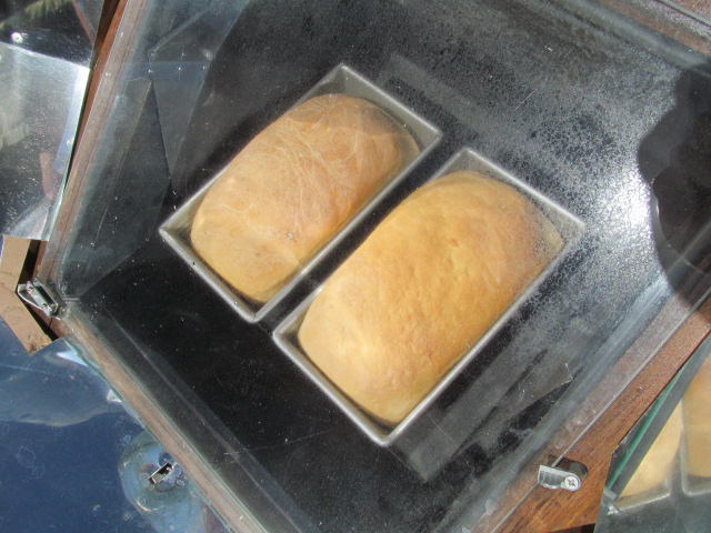 Baking Bread