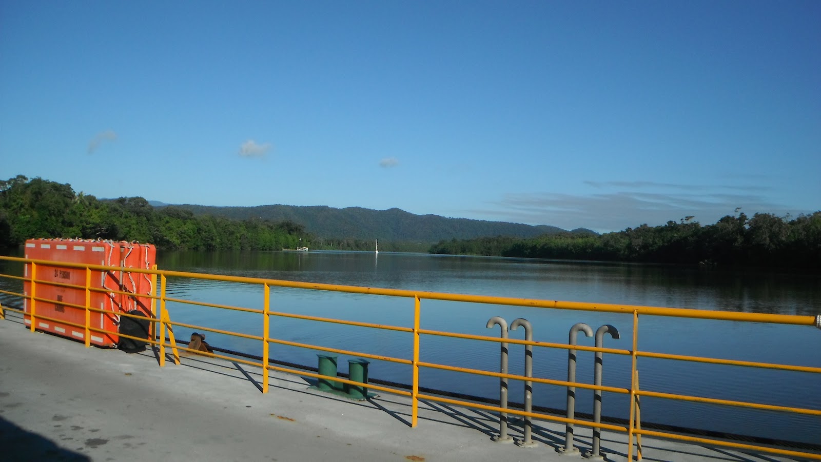 Daintree+national+park+003.JPG