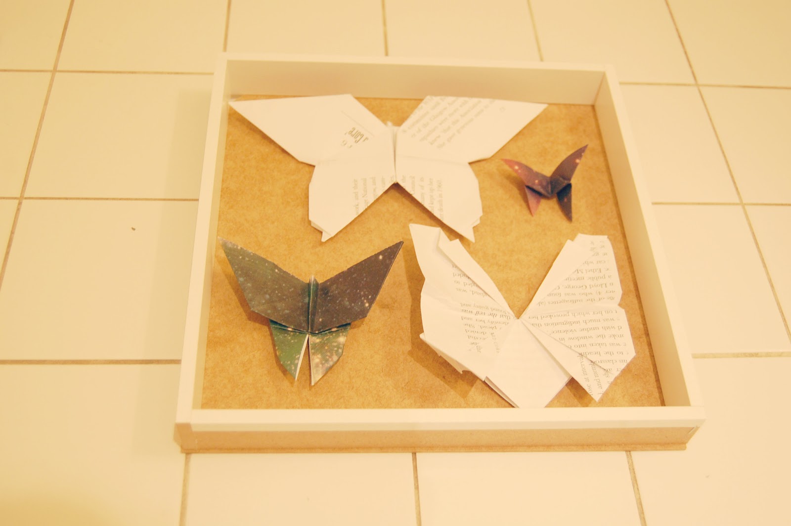 Highland Fling DIY Entomology Display Box
