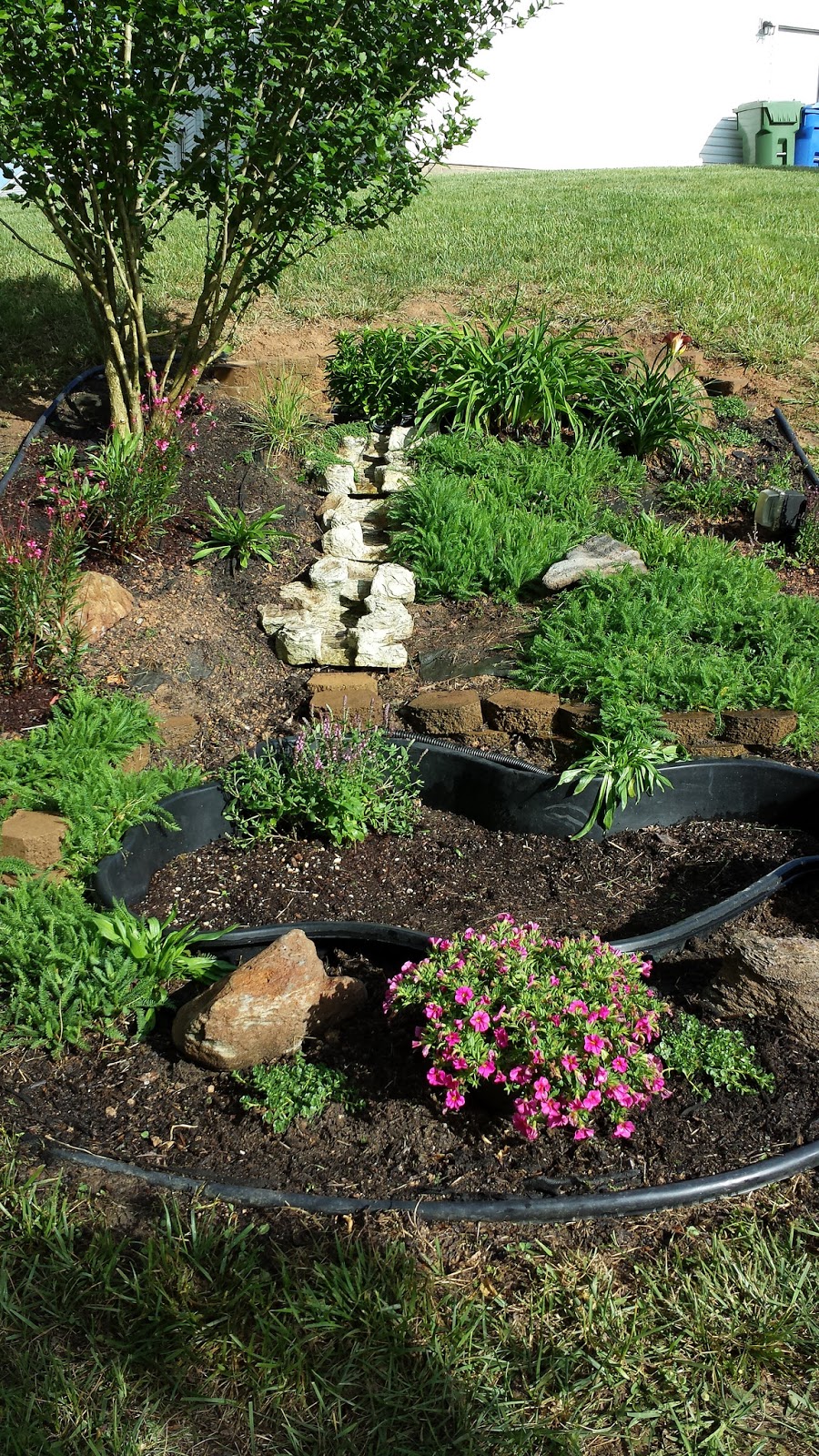 FOCAL POINT STYLING Transforming A Water Garden Into A Rock Garden FOCAL POINT STYLING Transforming A Water Garden Into A Rock Garden