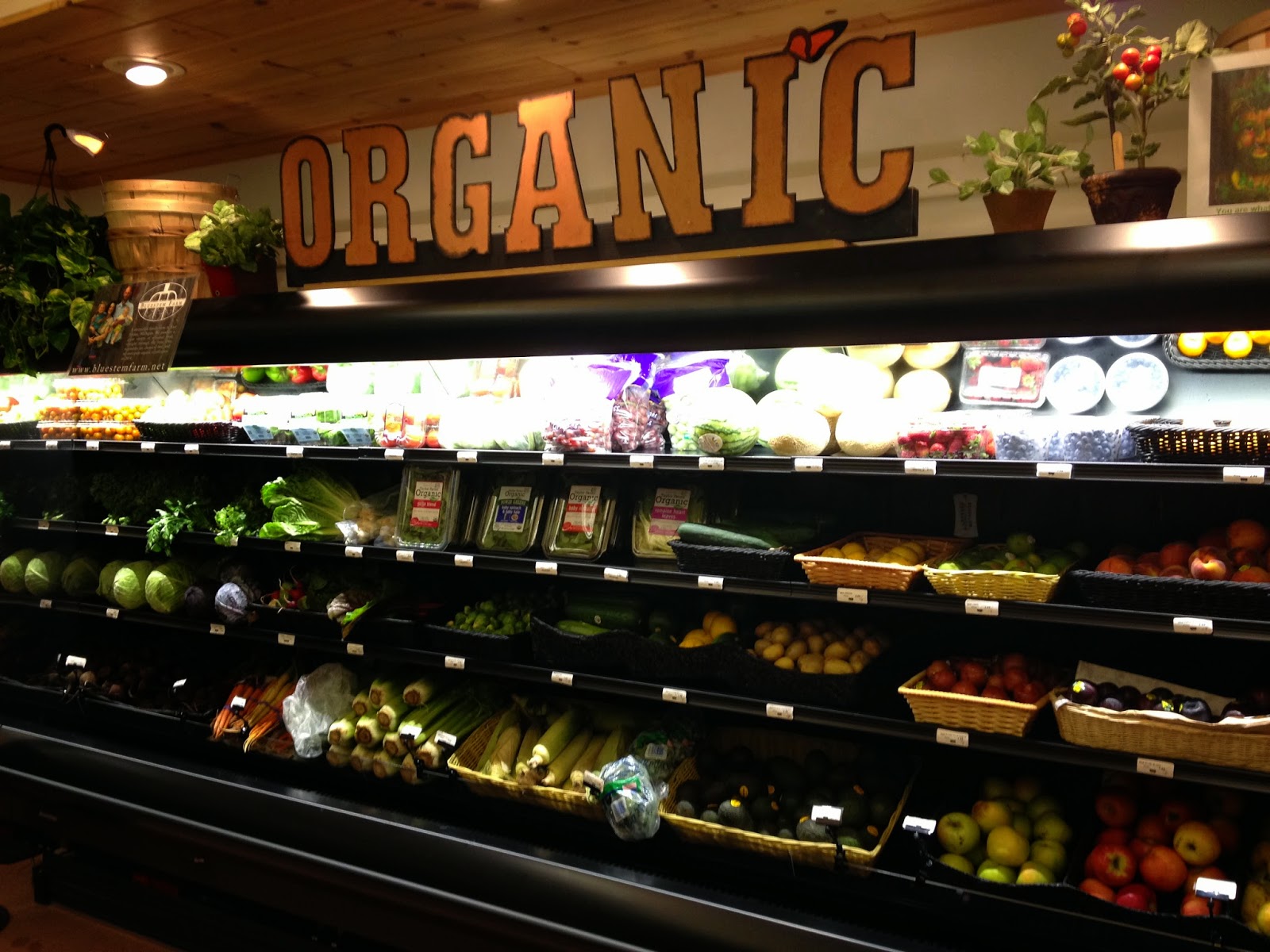 The Simple Life Review JoJo's Natural Market