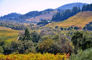Sonoma Valley with fall colors