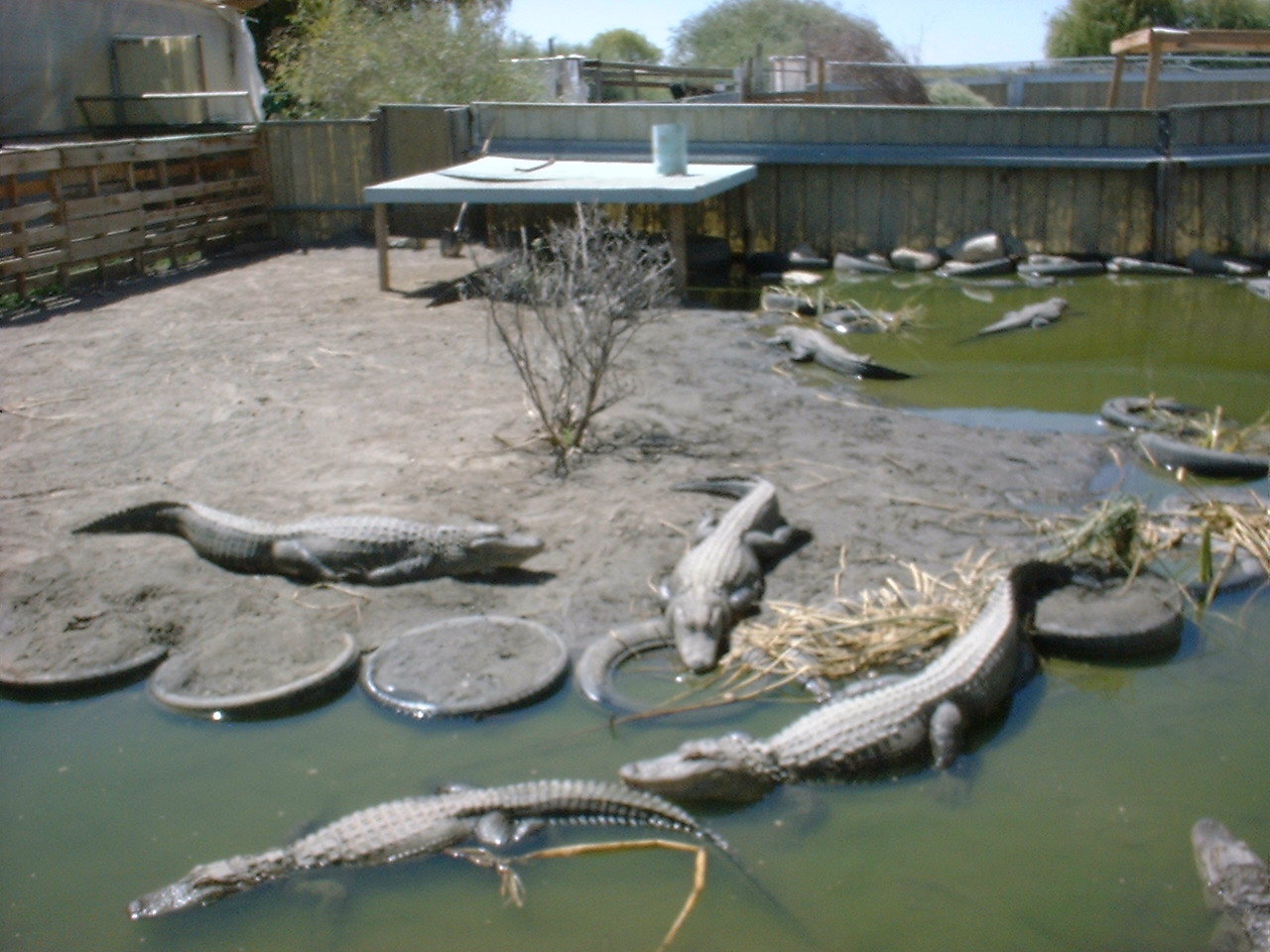 Living Lifes Great Adventures My bucket list for Extreme Adventures