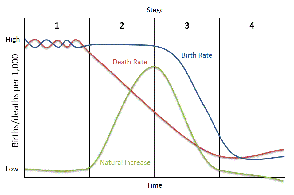 population stages