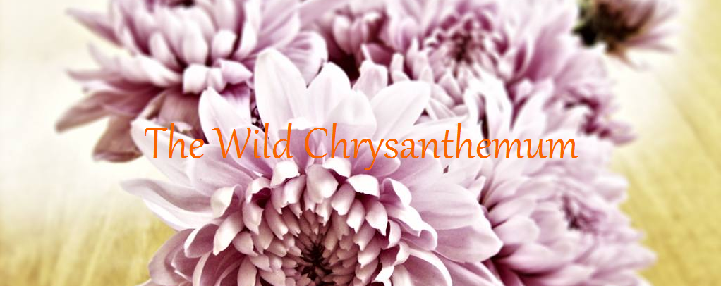 the wild chrysanthemum