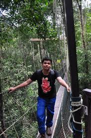 Jungle Trekking-canopy walkway