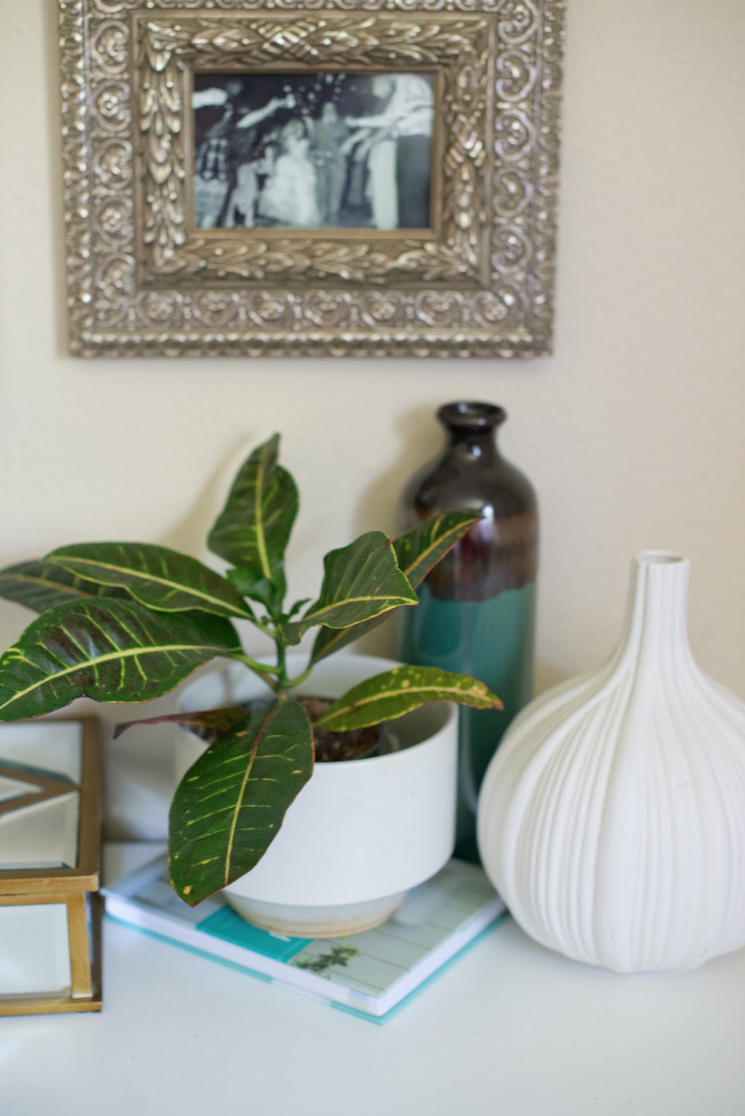 Domestic Fashionista: Decorating With Houseplants