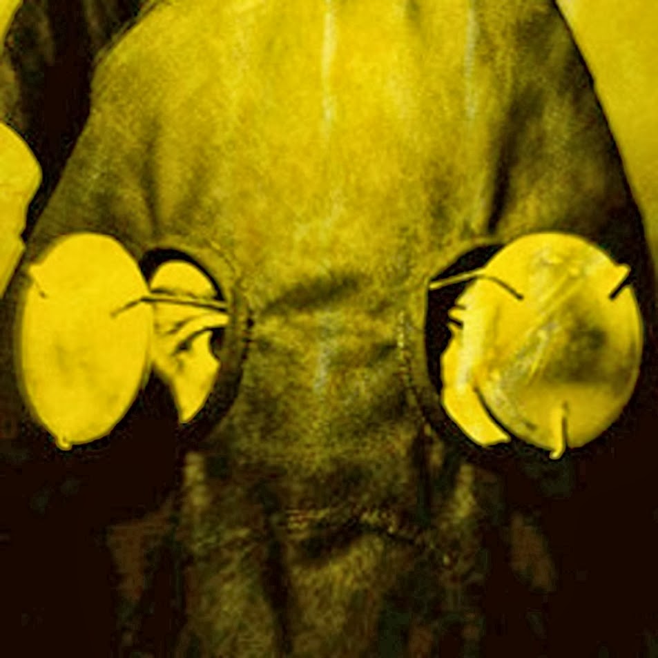 HYDEROMASTGRONINGEM: Sigur Rs - Valtari 2012