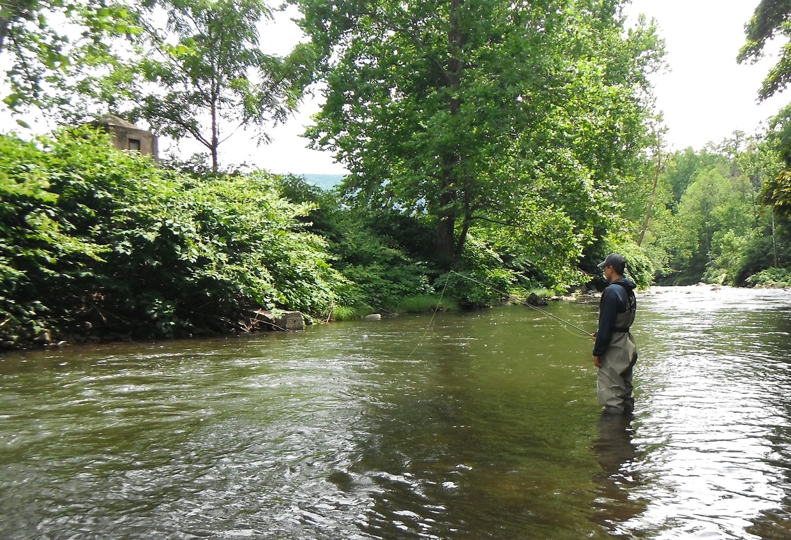 Western Maryland Fly Fishing The Savage River Wins Again!