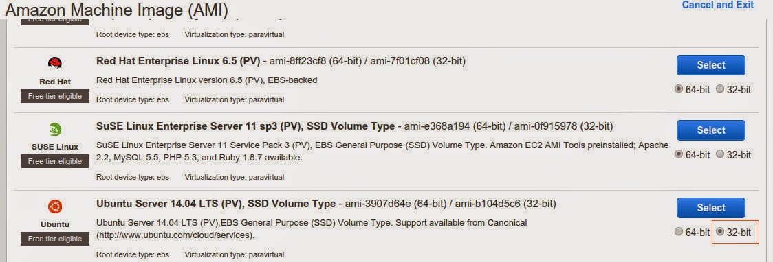 amazon2.jpeg