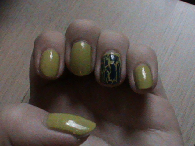 Foto bij Let the Spring Begin