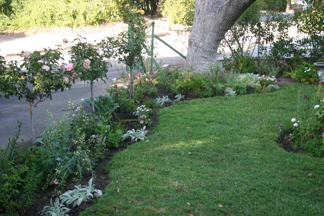 what happened to my garden? - The Gardener's Cottage