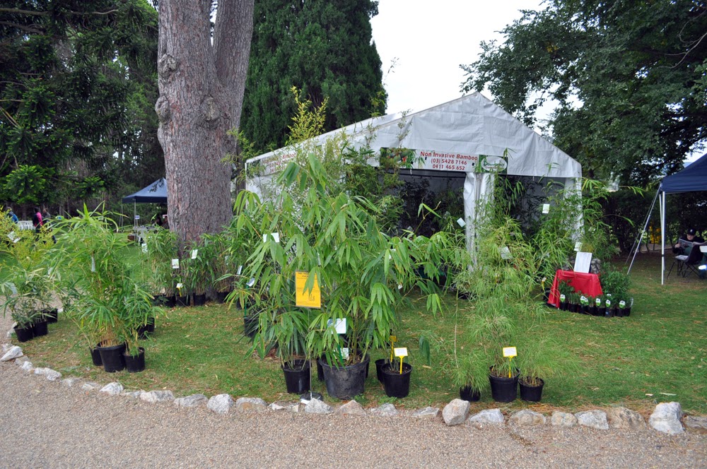 Bamboo Creations Victoria Plant Fair at Lanyon Homestead Canberra