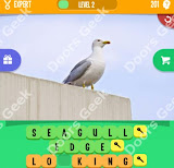 1 Pic 3 Words Level 201 answers cheats, solutions, walkthrough for 1 pic 3 words level 201