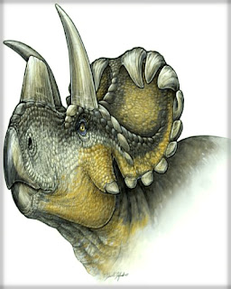 _wendiceratops-pinhornensis_