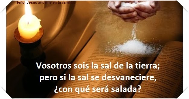 Resultado de imagen de somos la sal de la tierra