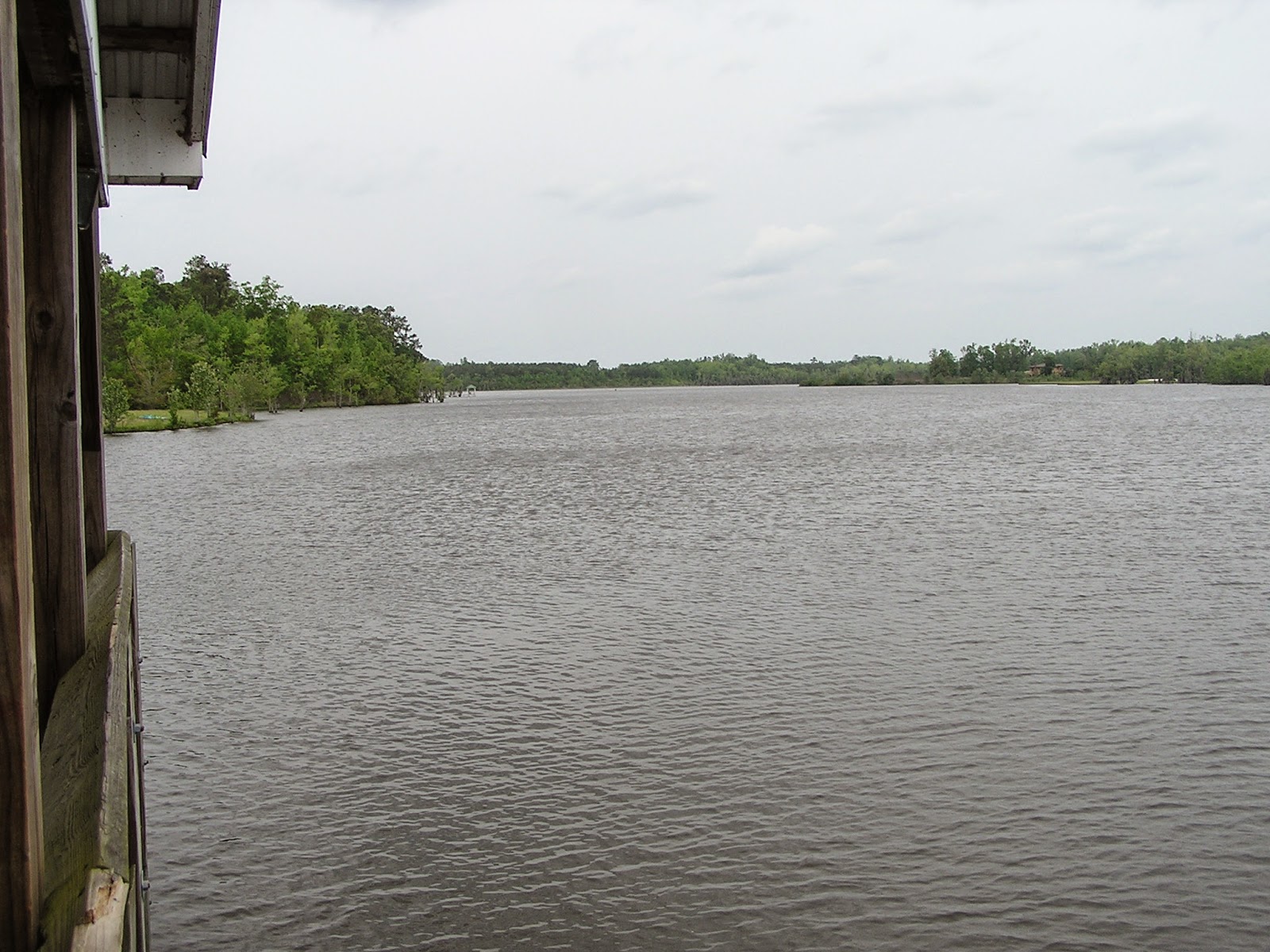 Texas Gypsies Tabor City, NC