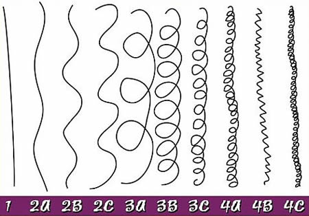 Andre Hair Chart