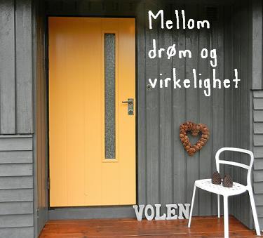 MELLOM DRØM OG VIRKELIGHET