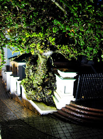 Miniature model street scene of a tree and a concrete wall on a hill in the rain.