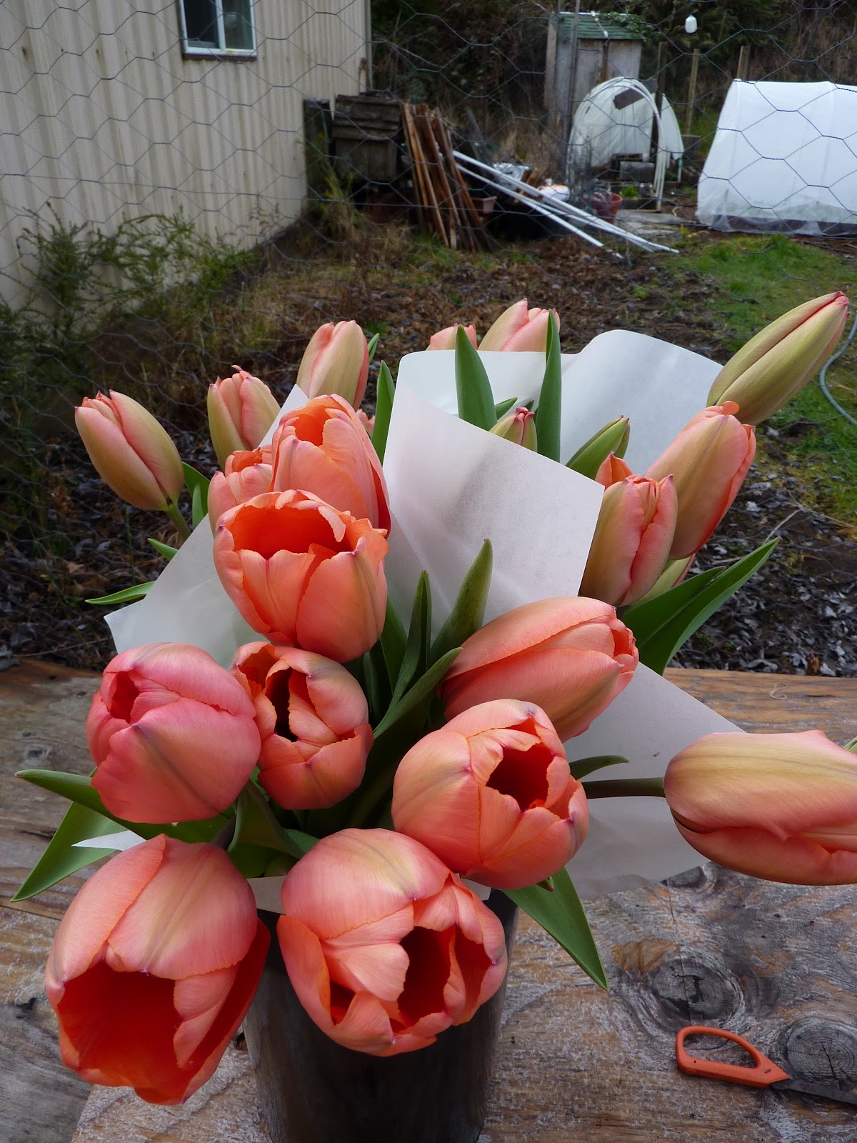 erikas fresh flowers march 2012 four letter flowers