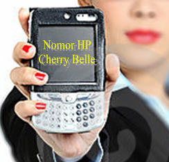 SMS yang dikirim ke Nomor Ponsel Cherry Belle diantaranya yang sering
