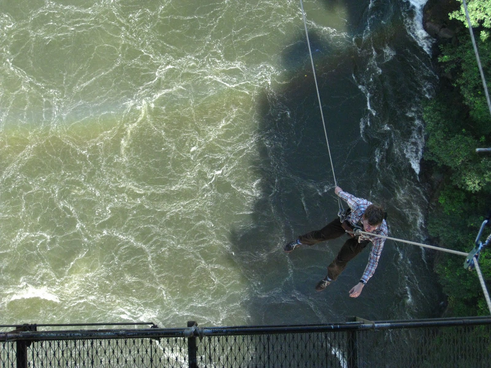 Still in St. Louis Bungee Jumping at Vic Falls