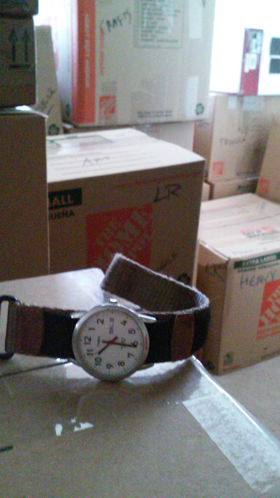 The Watch Dude This Timex took a licking and kept on ticking!