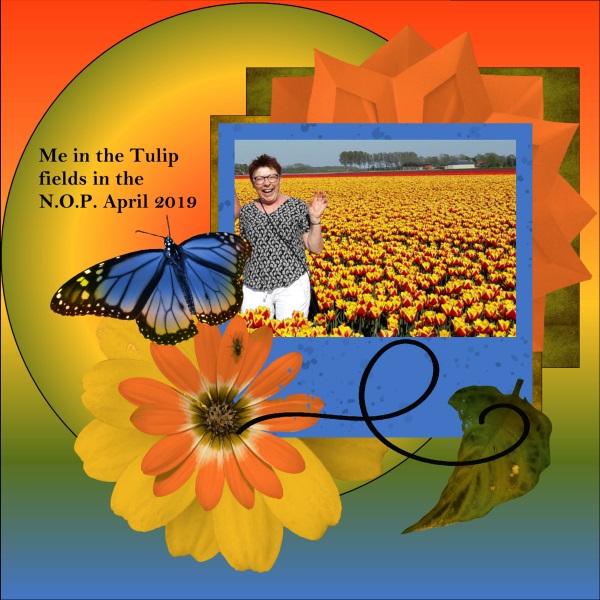 May 2019 - Me in the tulip fields 1