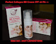 PERFECT COLLAGEN BB CREAM SPF 45