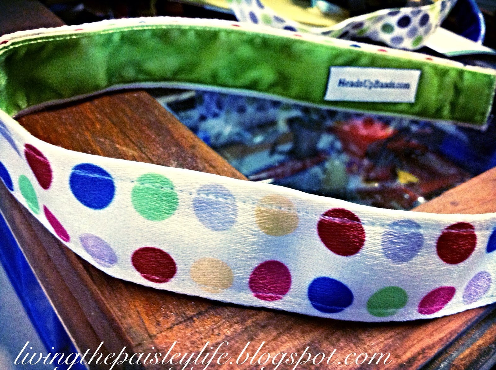 Living the Paisley Life No Slip, No Headache NonSlip Headbands from