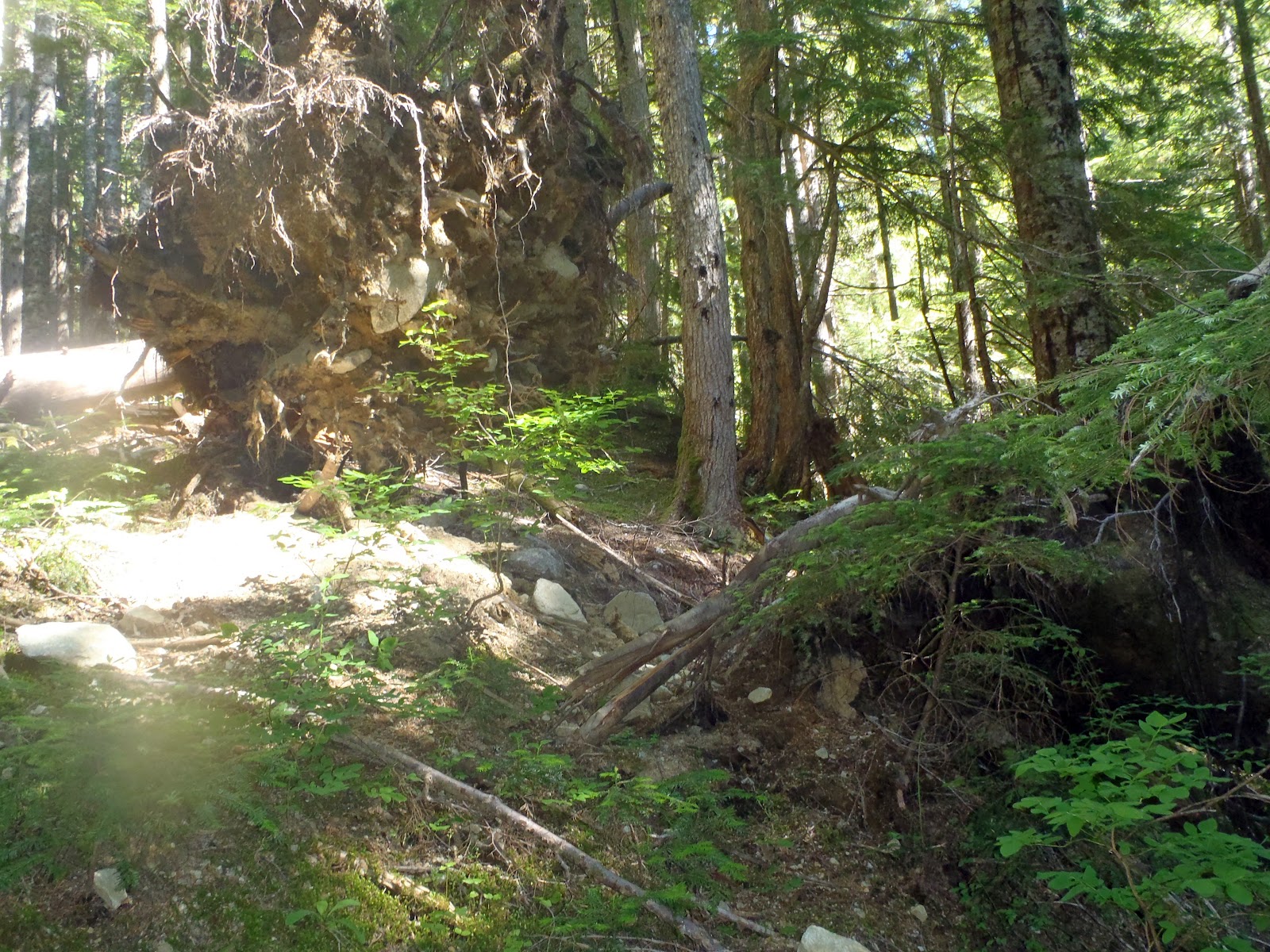 Nude Hiking and Soaking in the Pacific Northwest: Umpqua 
